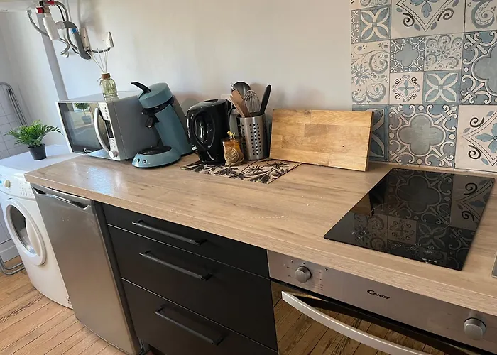 New! Le Figuier Apartment Bourg-en-Bresse